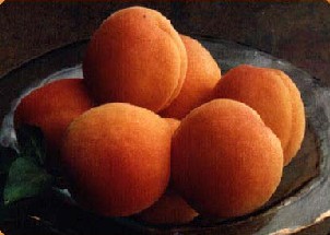 apricots 2112