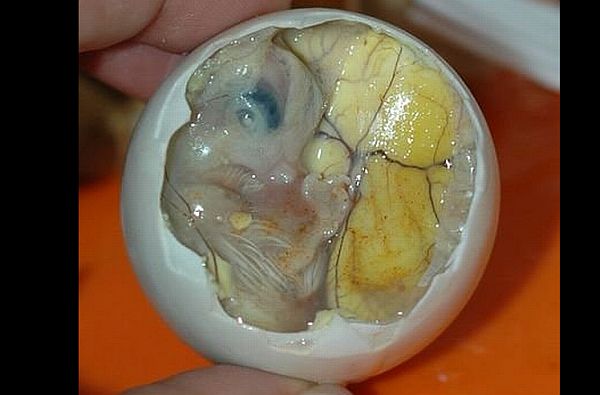 Balut_1 Balut_1
