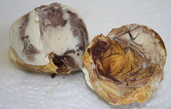 Balut_4 Balut_4