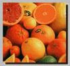 citrus fruits 985