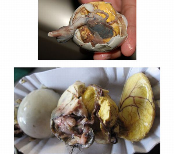 disgusting foods you will never want to try disgusting foods you will never want to try