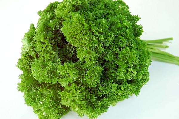 Green parsley Green parsley