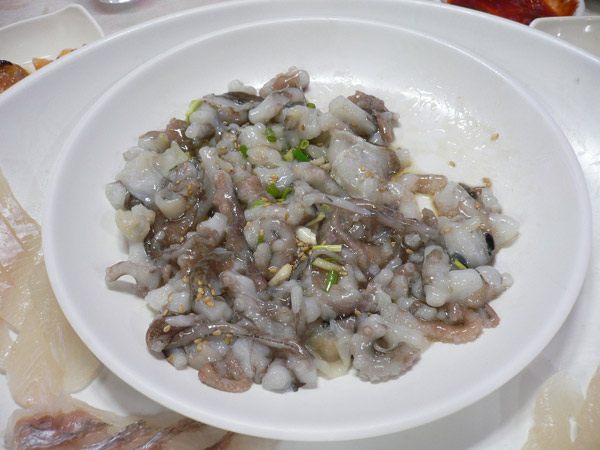Live Octopus Live Octopus