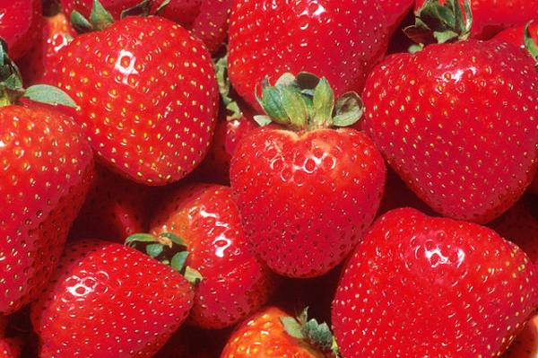 Luscious berries Luscious berries