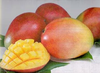 mangoes 18