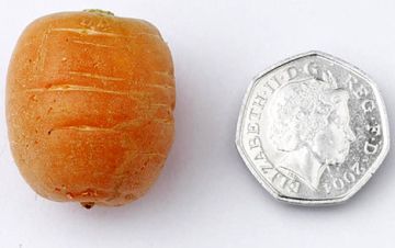 marks spencers carrot 483 per kilo