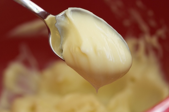 Mayonnaise Condiment Mayonnaise Condiment