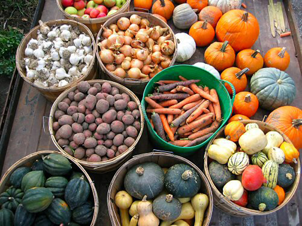 Seasonal Cooking Seasonal Cooking