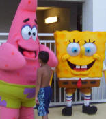 sponge and dorsa
