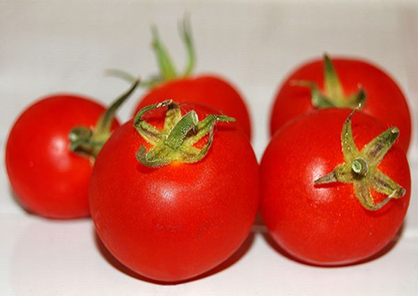 Tomato recipes Tomato recipes