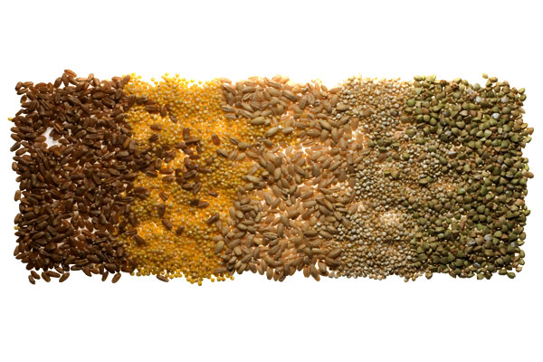 Whole grains Whole grains