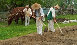 farming10
