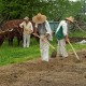 farming10