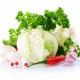 Fresh vegetables
