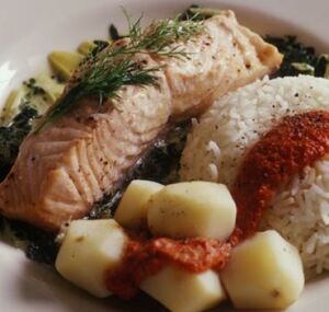 atkins diet 2 7