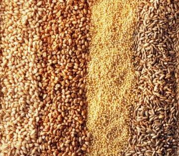 barley stew 7