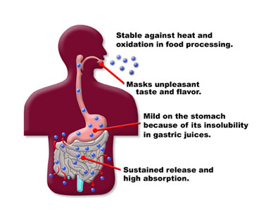 bioavailability1 bioavailability1