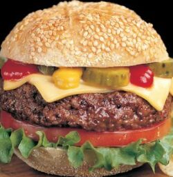 burger delight