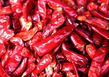 chilis zoom 45 chilis zoom 45