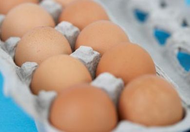 eggs222 7