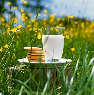organic milk1