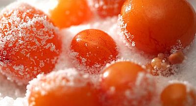 unlaid eggs 7 unlaid eggs 7
