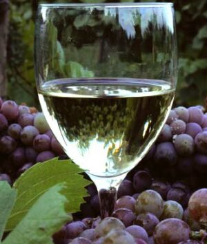 wine 234 wine 234
